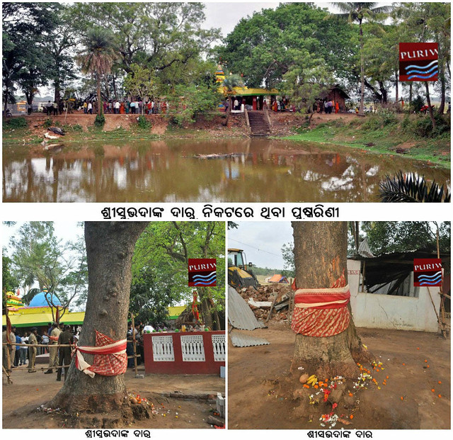 Photo :: Adhangagada is popular for Maa Subhadra Neem tree