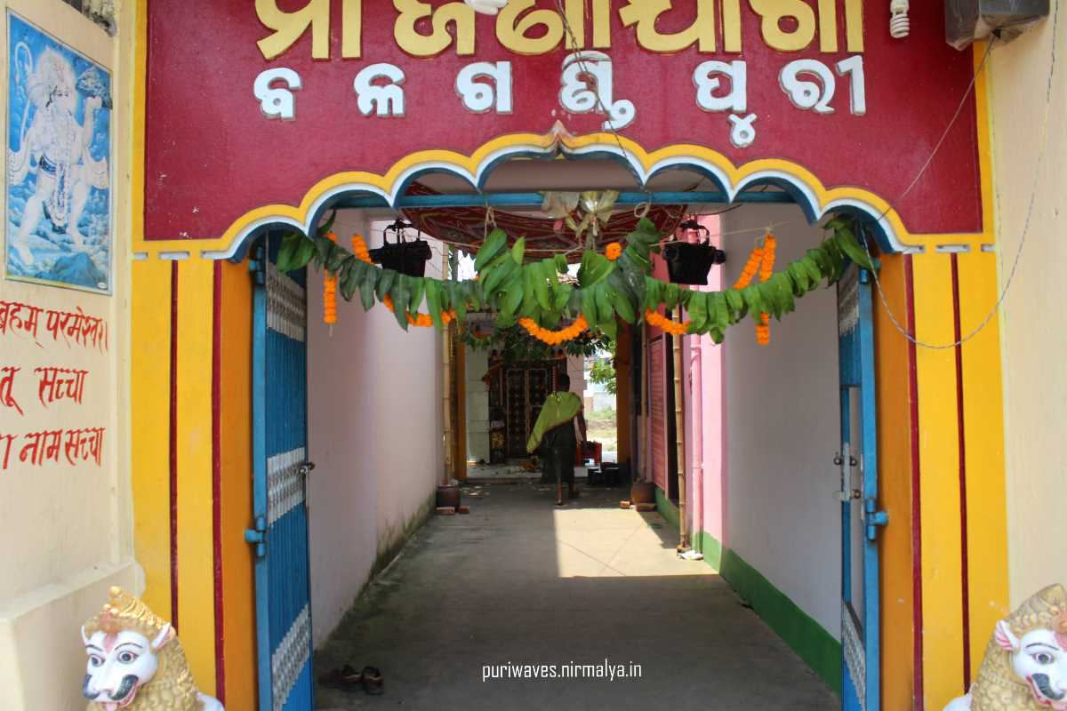 Majana Jaga