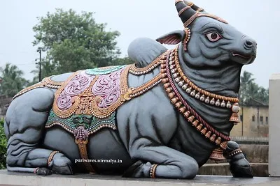 Nandi Bull of Makandeswar Temple