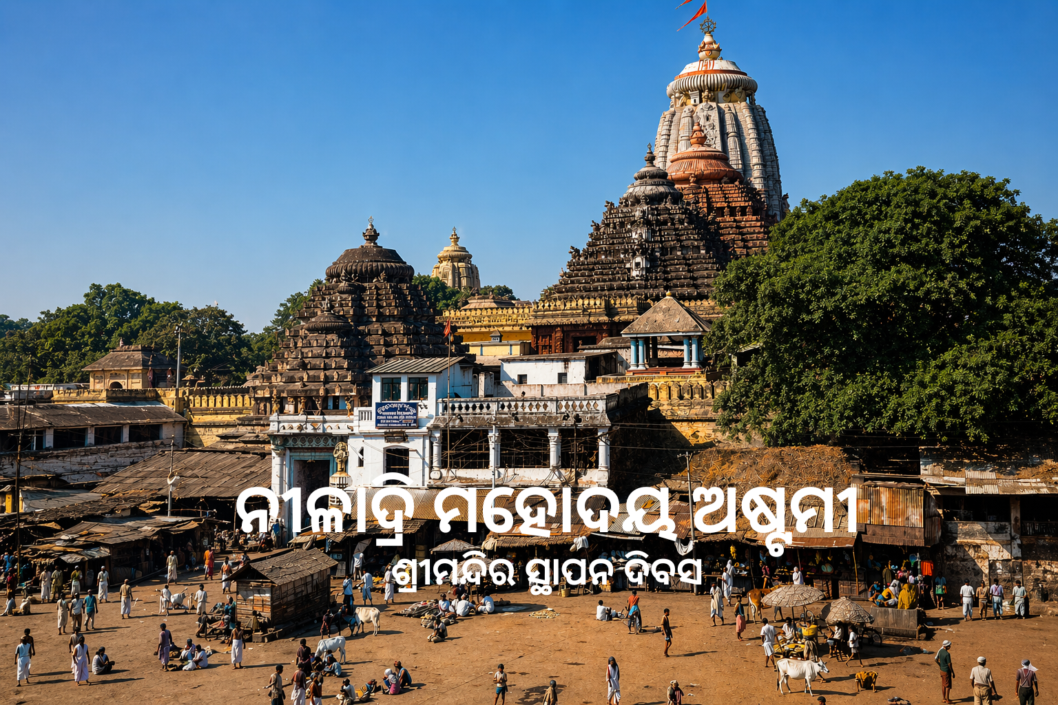 ନୀଳାଦ୍ରି ମହୋଦୟ ଅଷ୍ଟମୀ